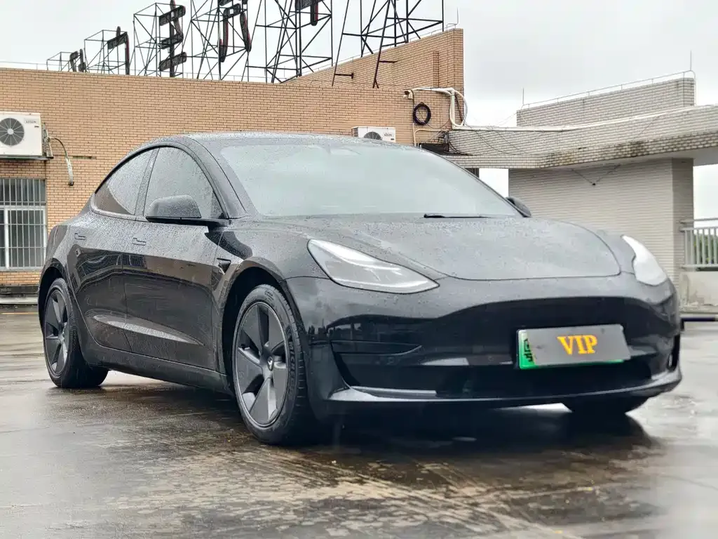 Tesla Model 3 2021 из CN, фото 4