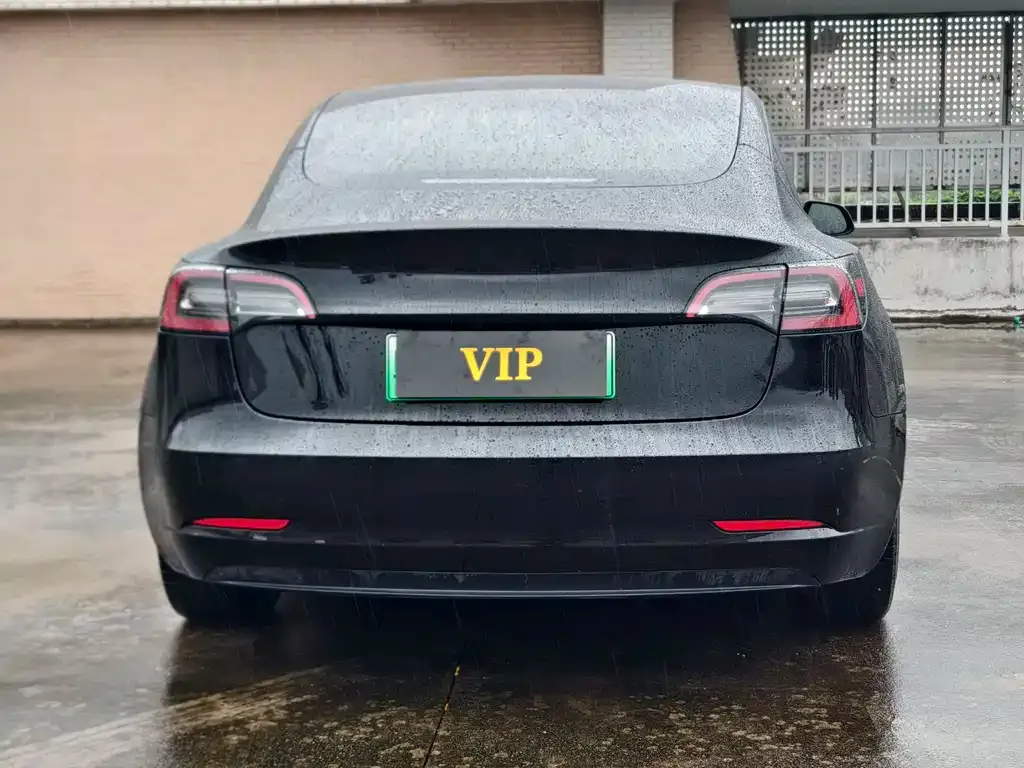 Tesla Model 3 2021 из CN, фото 7