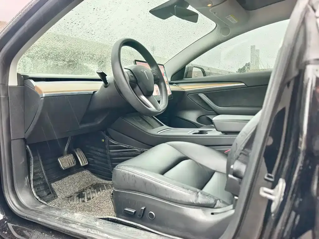 Tesla Model 3 2021 из CN, фото 5