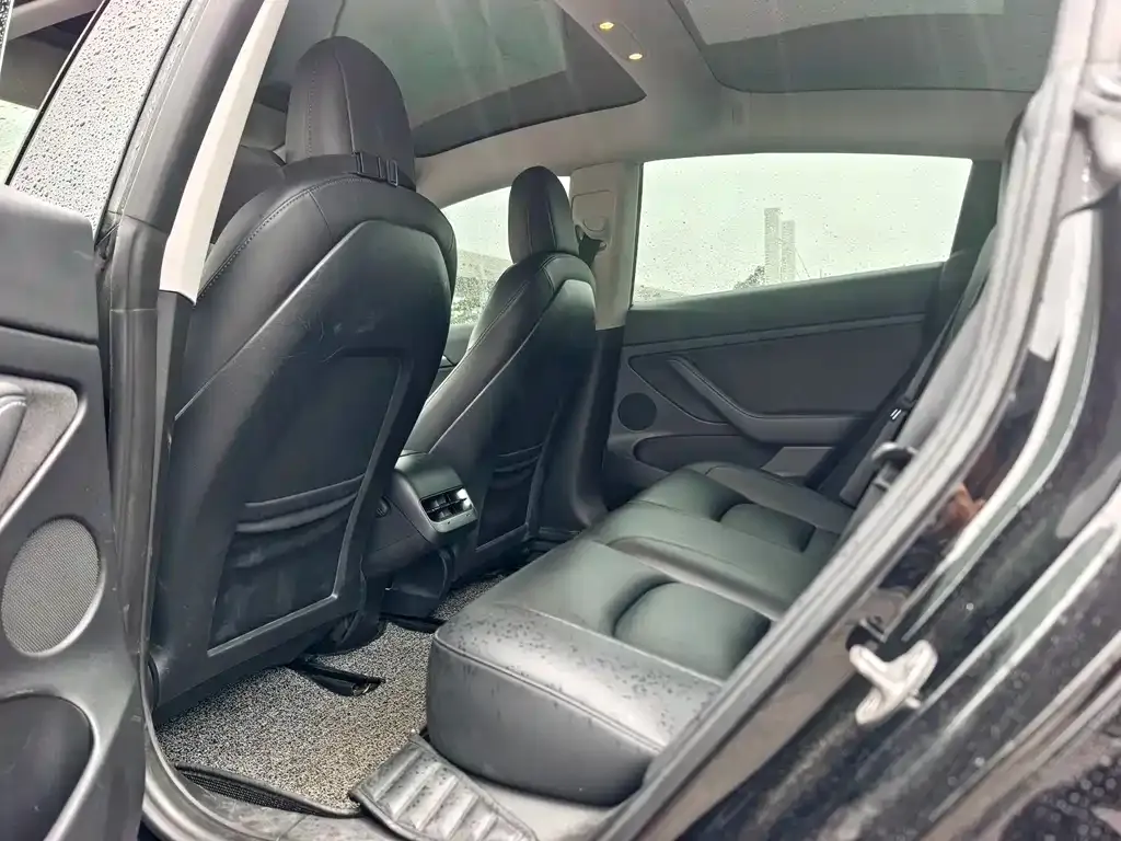 Tesla Model 3 2021 из CN, фото 10
