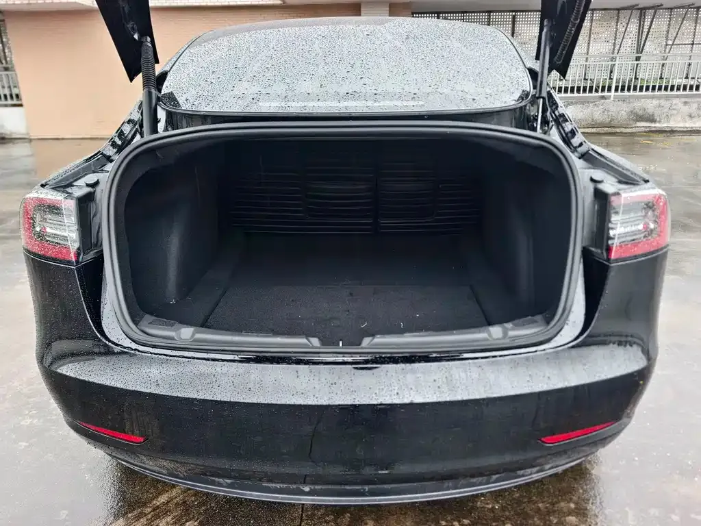 Tesla Model 3 2021 из CN, фото 3