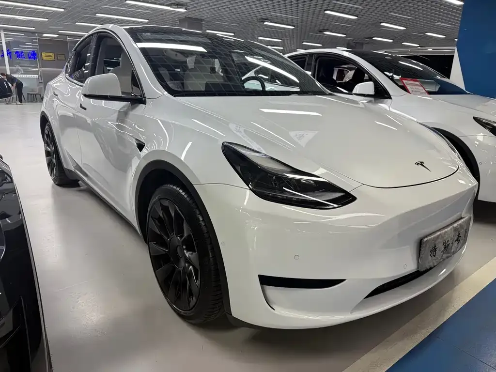 Tesla Model Y 2023 из CN, фото 6