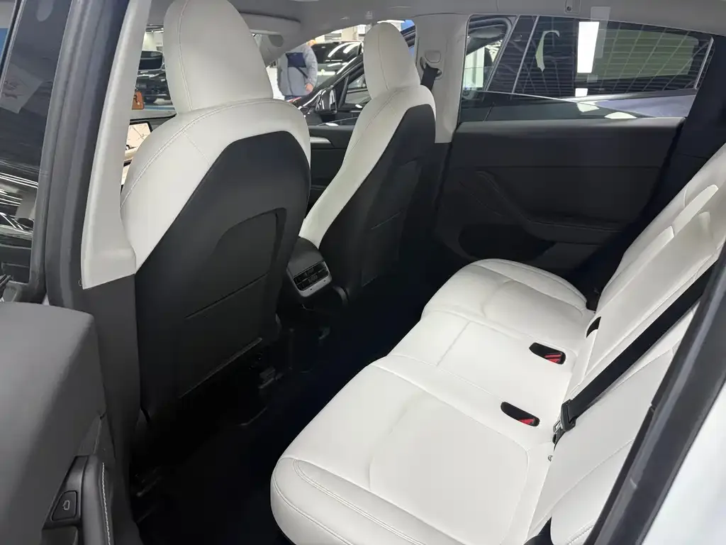 Tesla Model Y 2023 из CN, фото 5