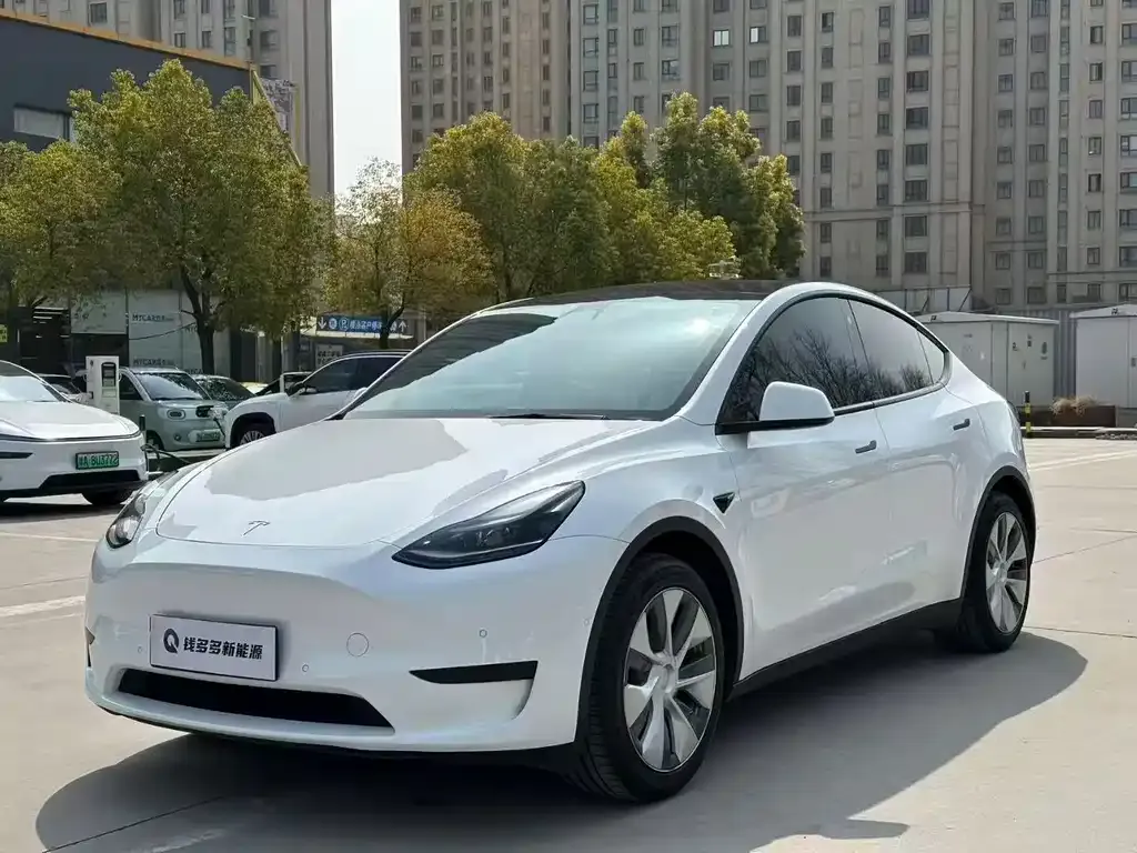 Tesla Model Y 2022 из CN, фото 1