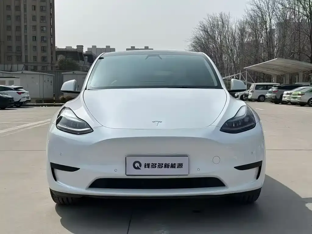 Tesla Model Y 2022 из CN, фото 6