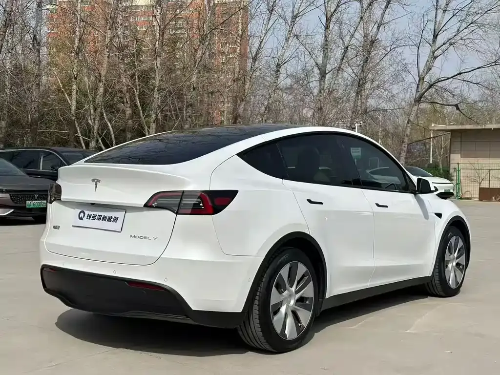 Tesla Model Y 2022 из CN, фото 9