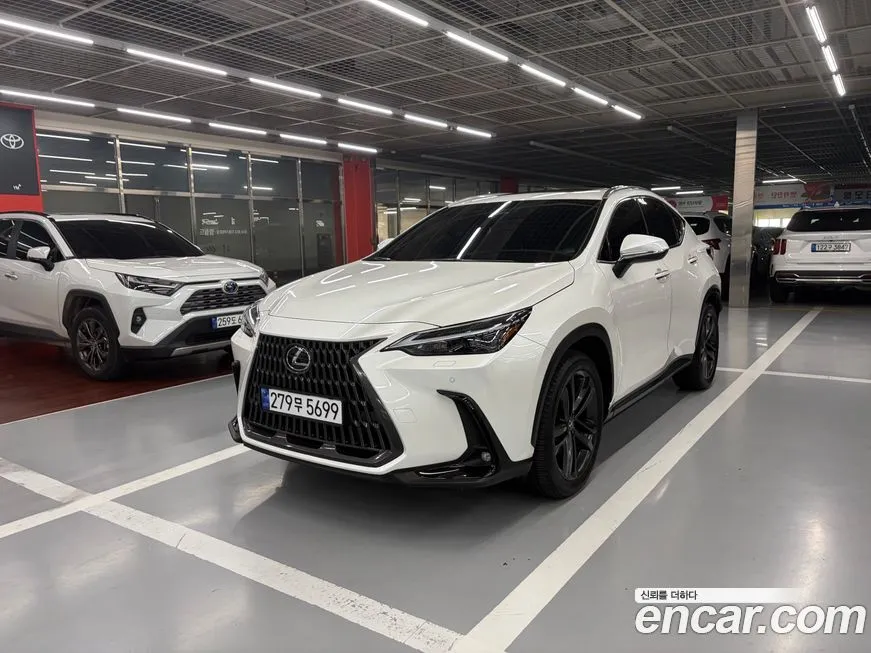 Lexus NX Premium 1