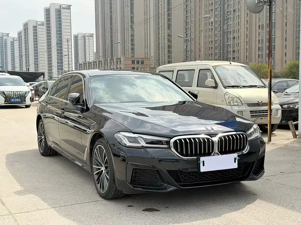 BMW 5 Series 2023 из CN, фото 5