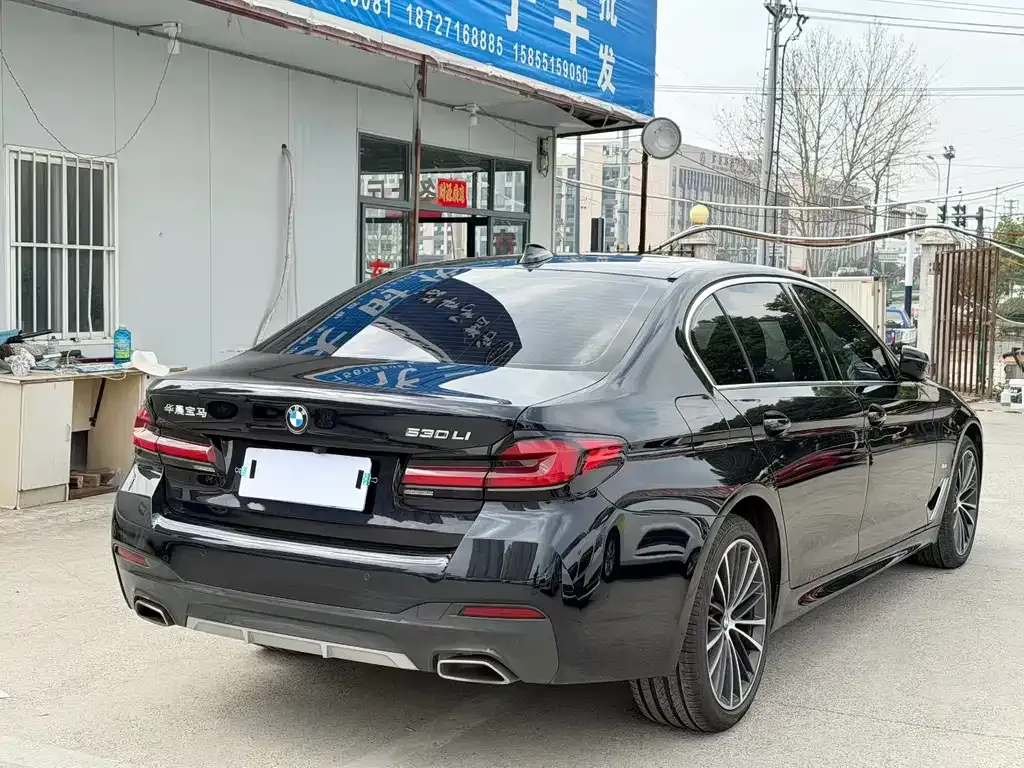 BMW 5 Series 2023 из CN, фото 6