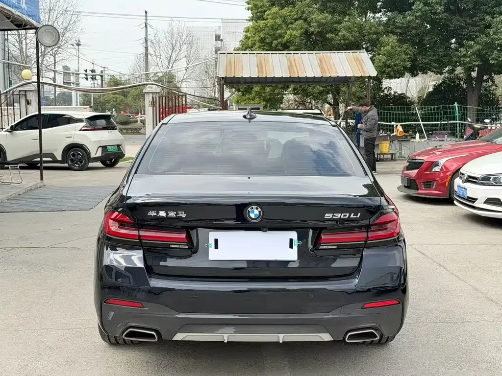 BMW 5 Series 2023 из CN, фото 7
