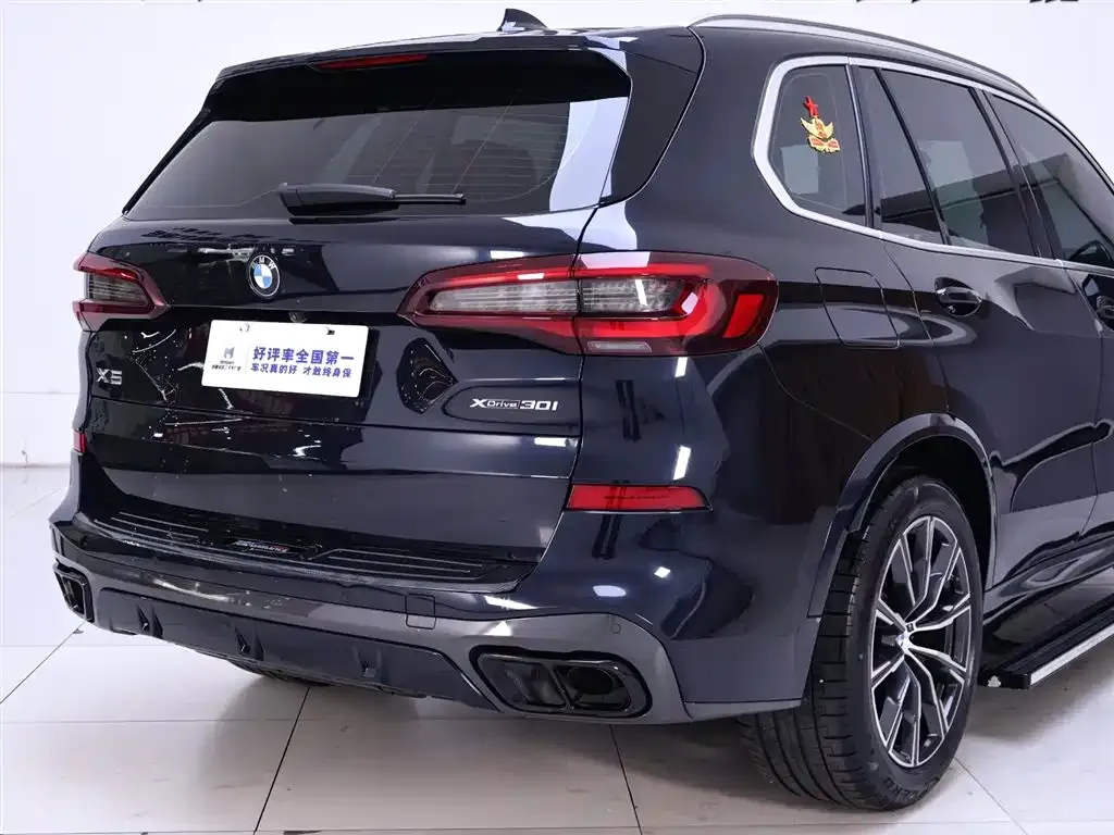 BMW X5 (Import) 2021 из CN, фото 8