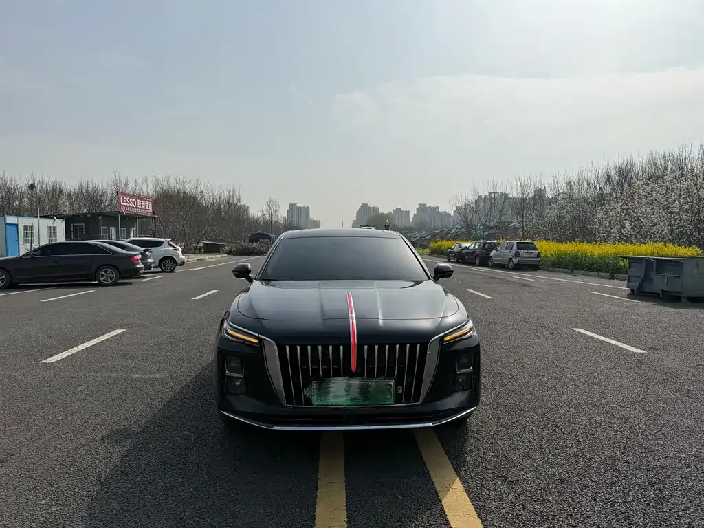 Hongqi H5 PHEV 2025 из CN, фото 2