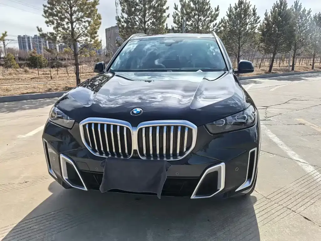 BMW X5 — фото 1