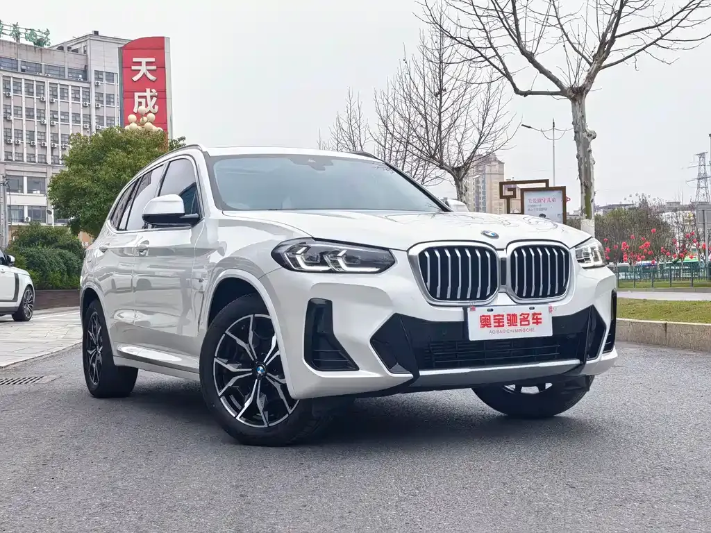 BMW X3 2022 из CN, фото 10