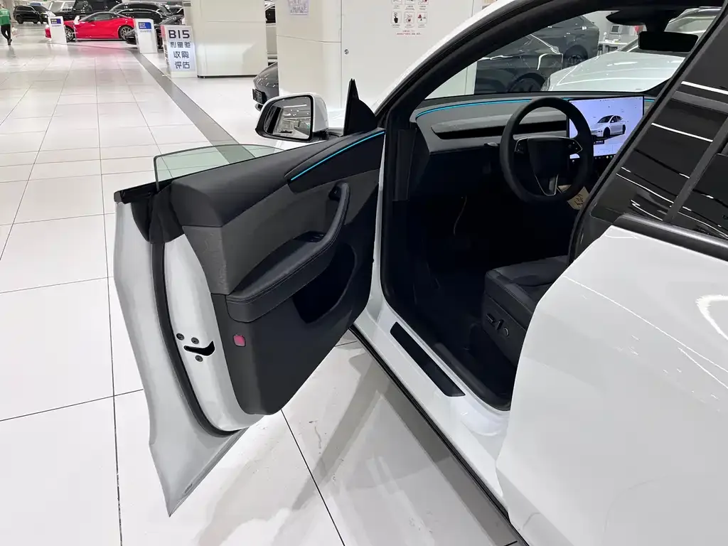 Tesla Model Y 2026 из CN, фото 5