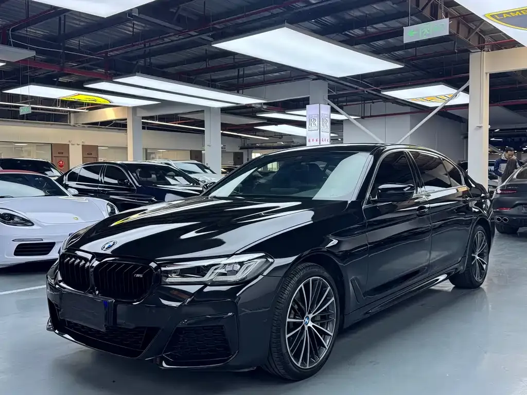 BMW 5 Series 2021 из CN, фото 1
