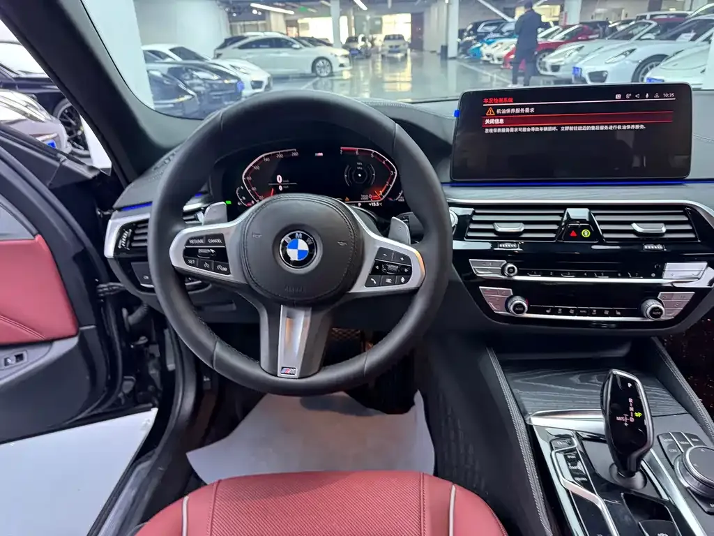 BMW 5 Series 2021 из CN, фото 10