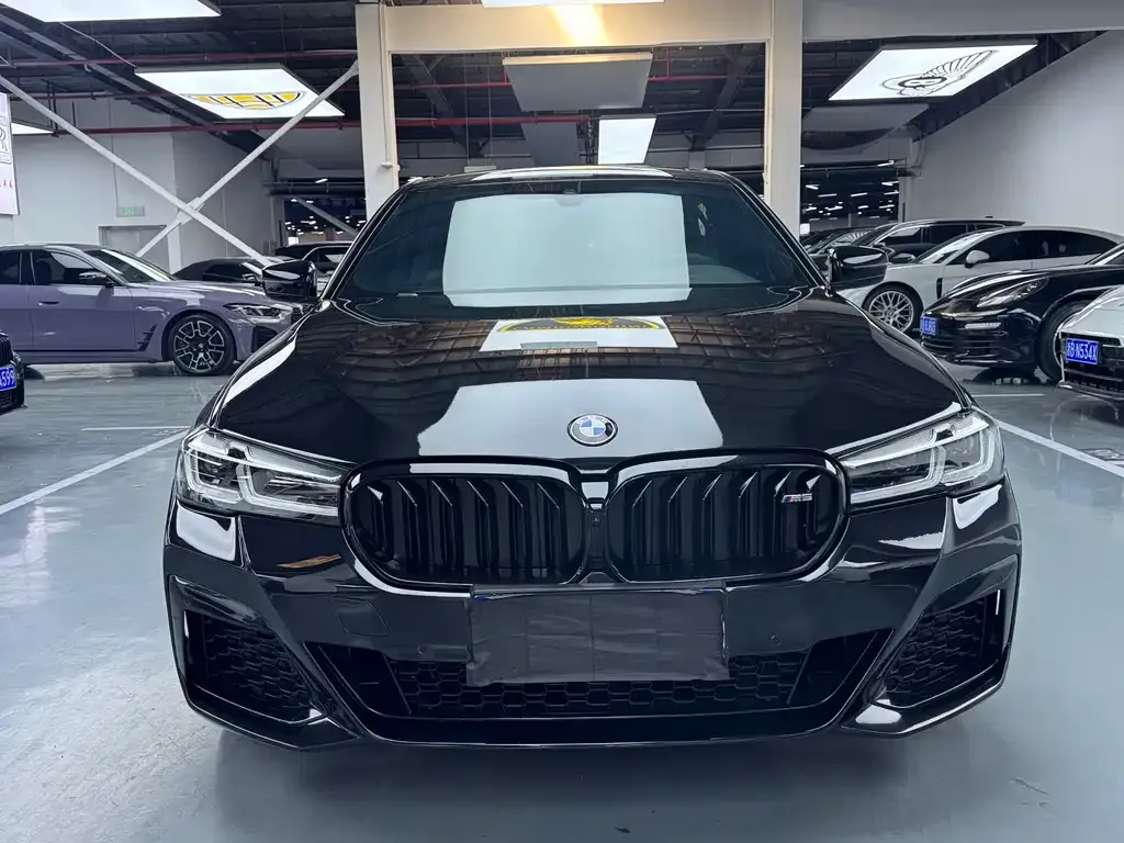 BMW 5 Series 2021 из CN, фото 4