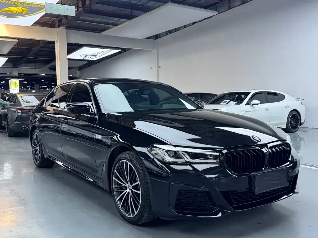 BMW 5 Series 2021 из CN, фото 2