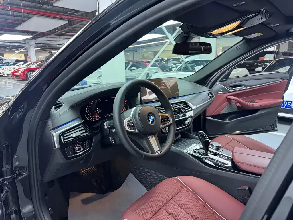 BMW 5 Series 2021 из CN, фото 6