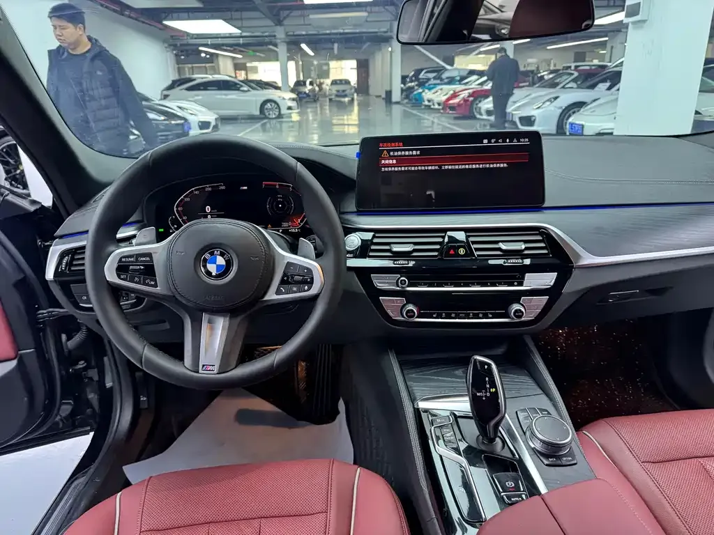 BMW 5 Series 2021 из CN, фото 5