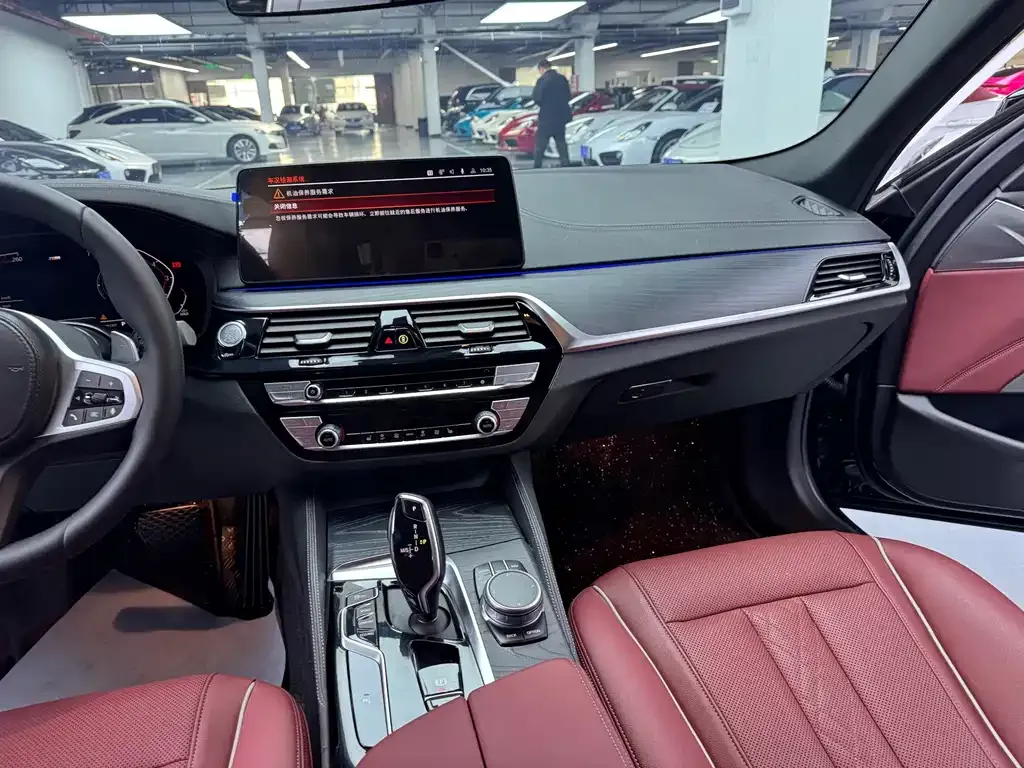 BMW 5 Series 2021 из CN, фото 8