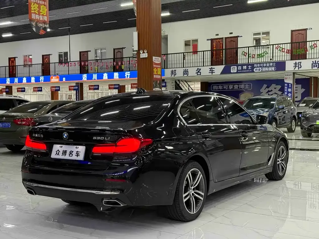 BMW 5 Series 2023 из CN, фото 5