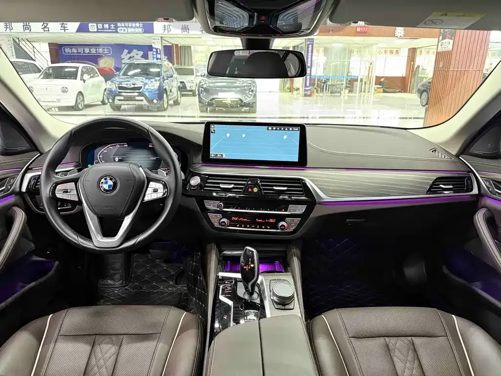 BMW 5 Series 2023 из CN, фото 6