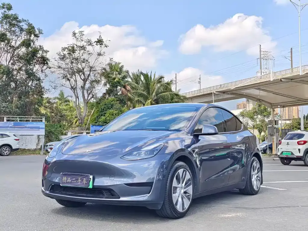 Tesla Model Y 2022 из CN, фото 1