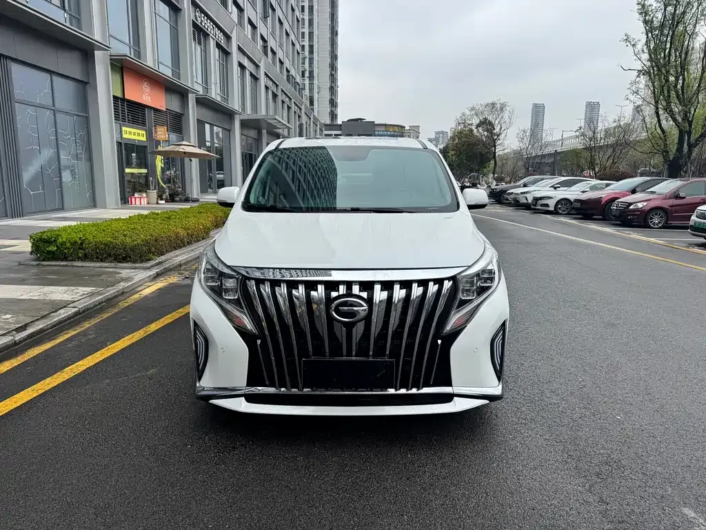 GAC Motor Trumpchi M8 2021 из CN, фото 6