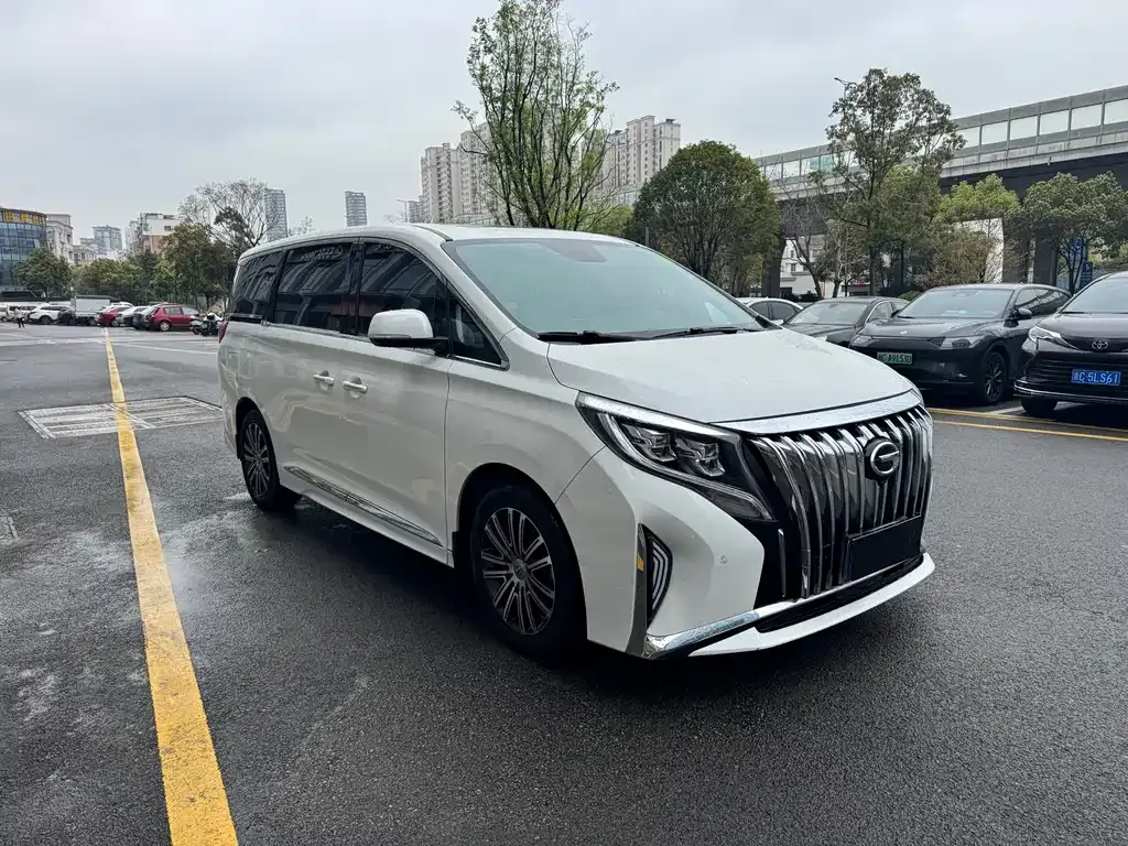 GAC Motor Trumpchi M8 2021 из CN, фото 4