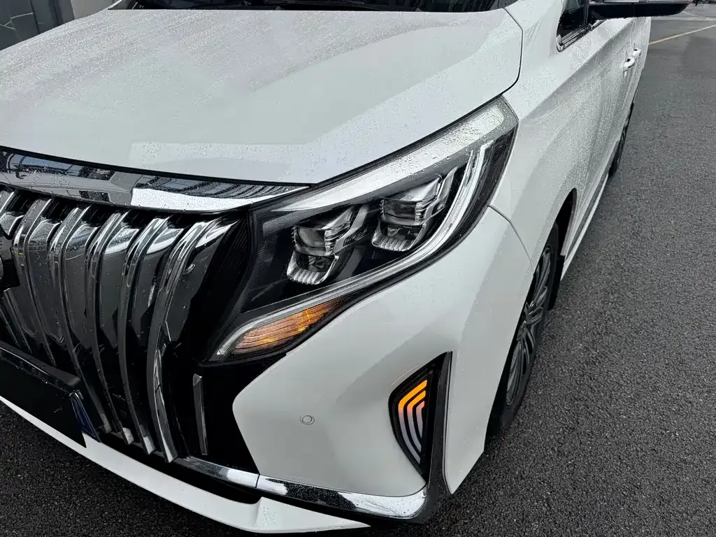 GAC Motor Trumpchi M8 2021 из CN, фото 10