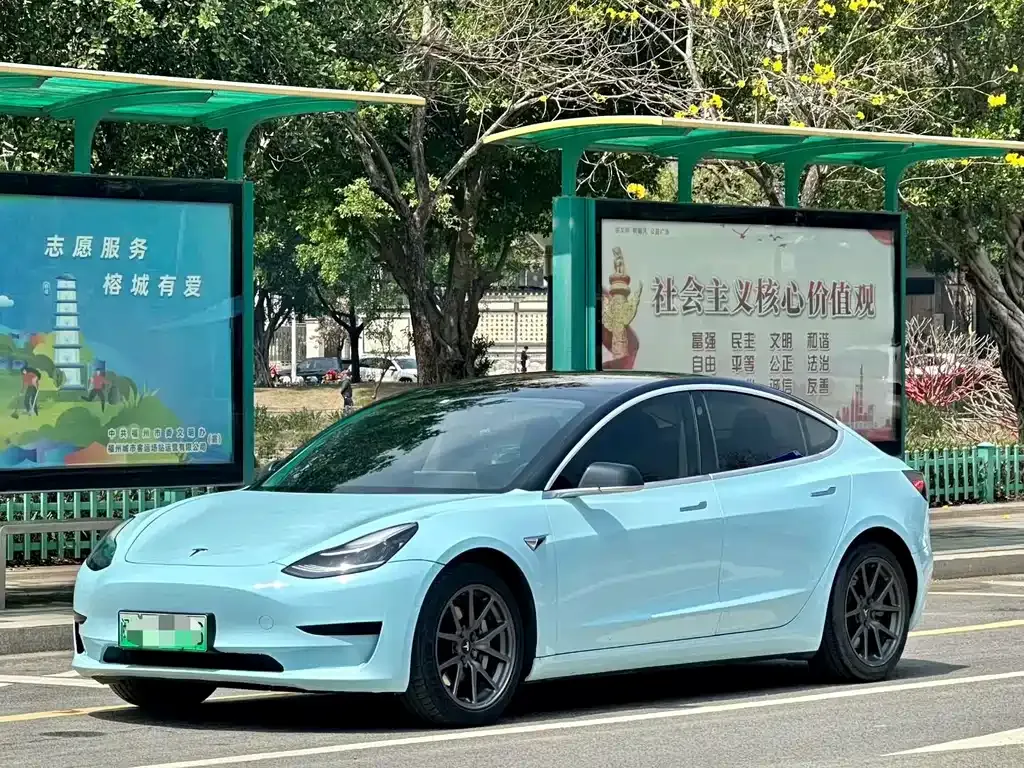Tesla Model 3 2021 из CN, фото 1