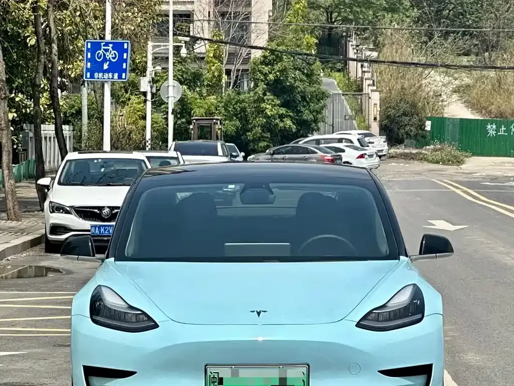 Tesla Model 3 2021 из CN, фото 5