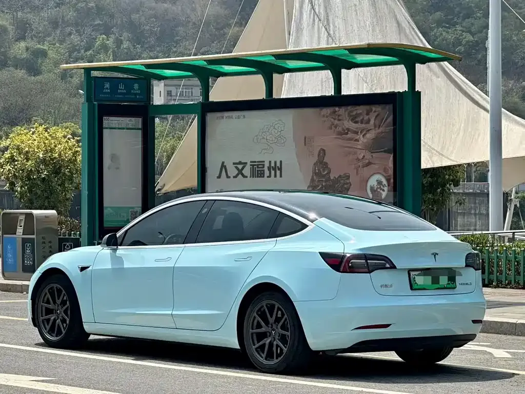 Tesla Model 3 2021 из CN, фото 6