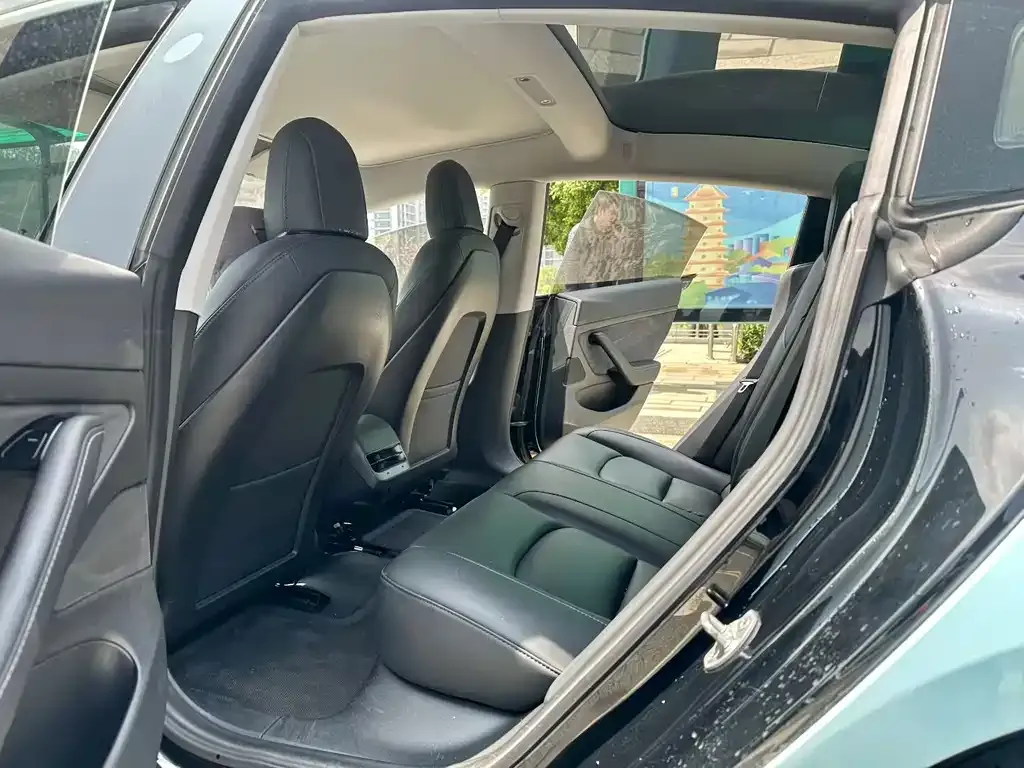 Tesla Model 3 2021 из CN, фото 2