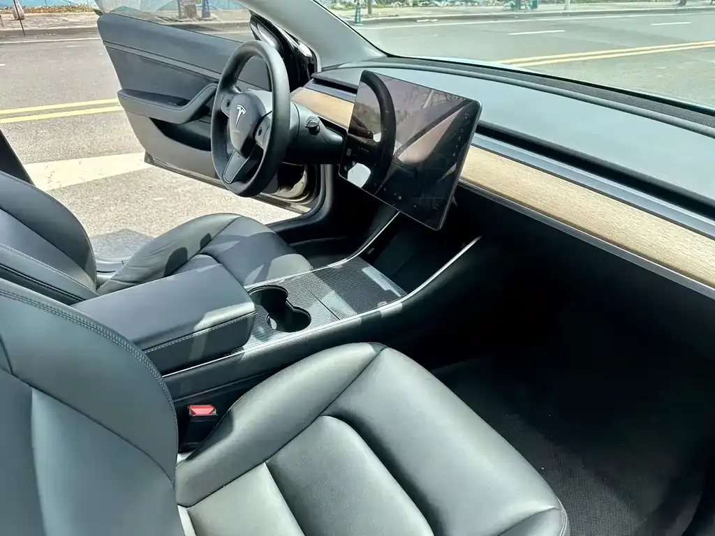 Tesla Model 3 2021 из CN, фото 8