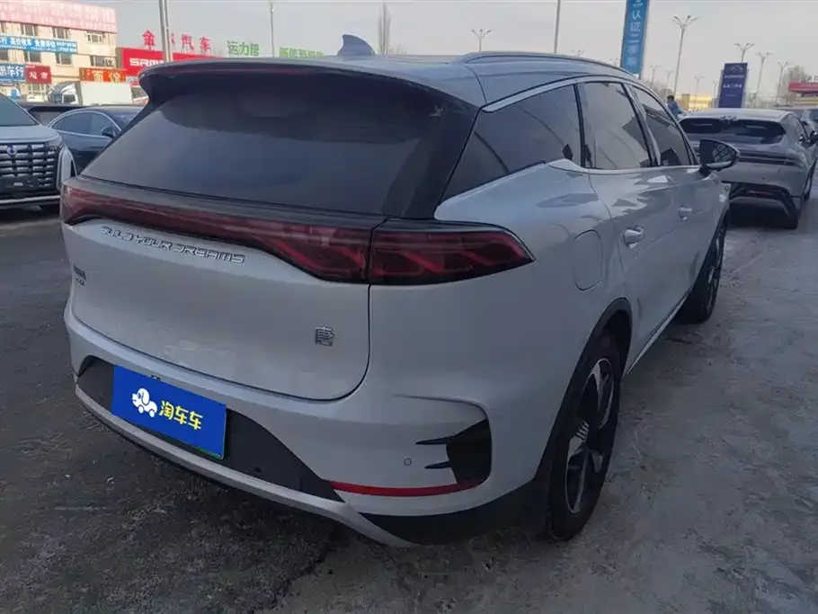 BYD Tang New Energy 2024 из CN, фото 5