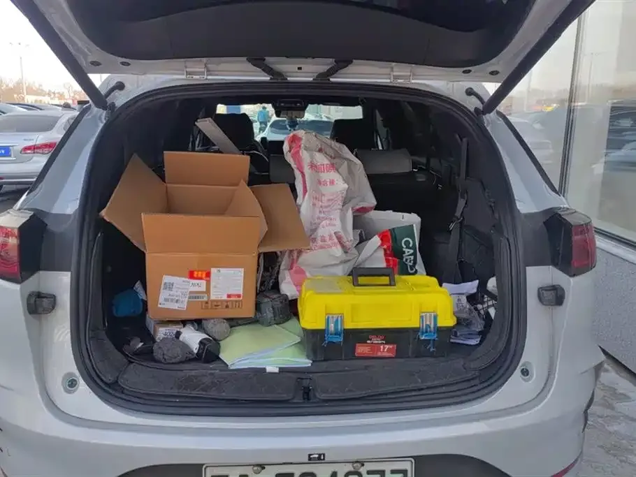 BYD Tang New Energy 2024 из CN, фото 4