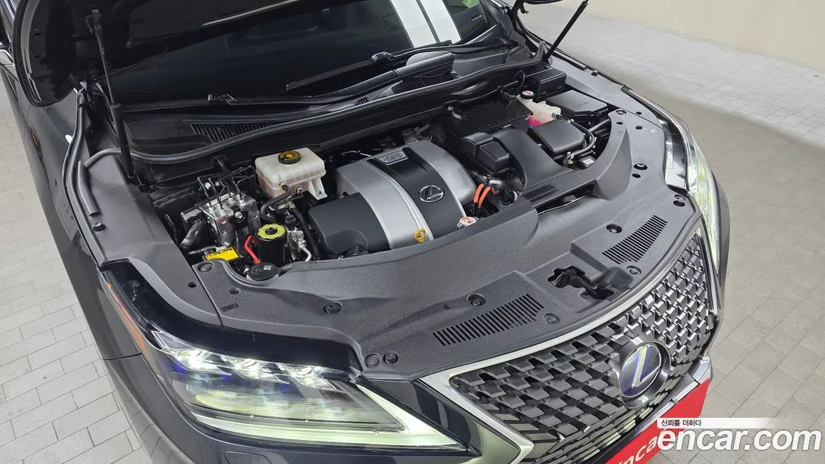 Lexus RX 2021 из KR, фото 4