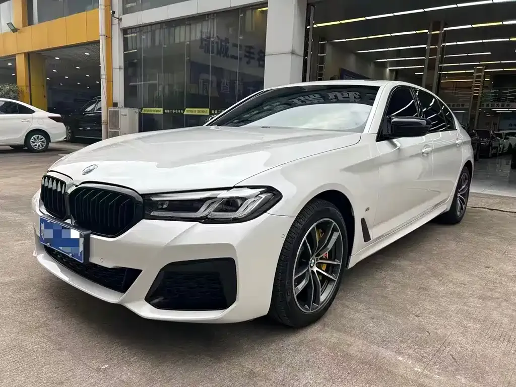 BMW 5 Series 2022 из CN, фото 1