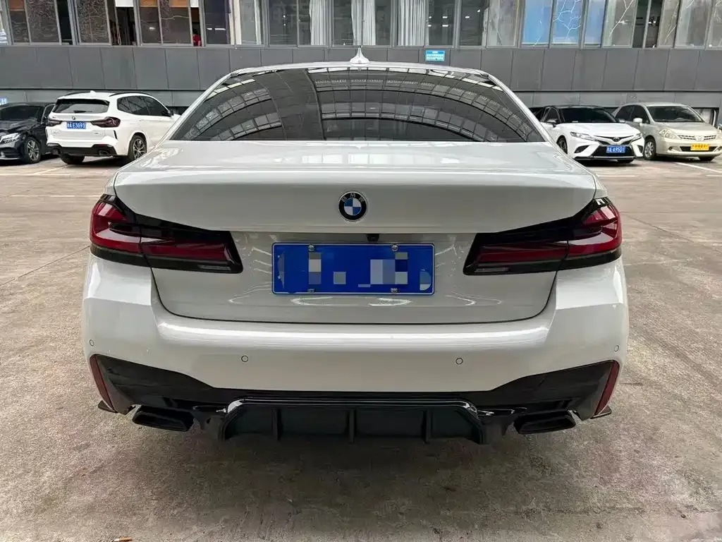 BMW 5 Series 2022 из CN, фото 6