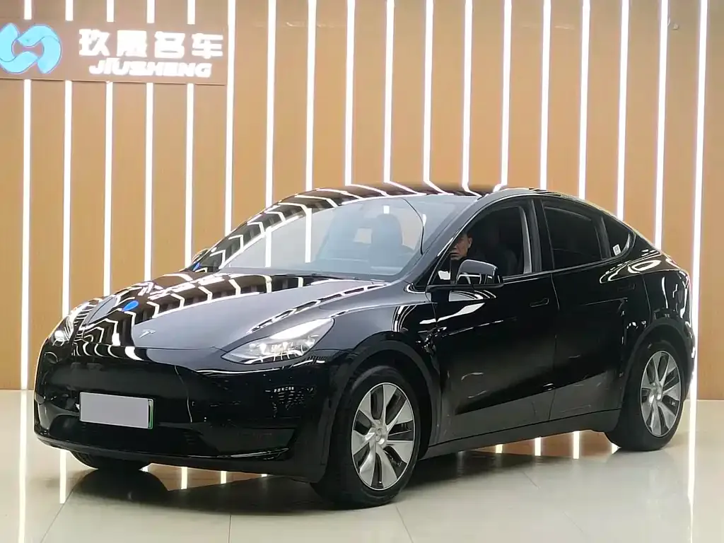 Tesla Model Y 2022 из CN, фото 1
