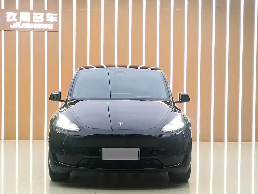 Tesla Model Y 2022 из CN, фото 4