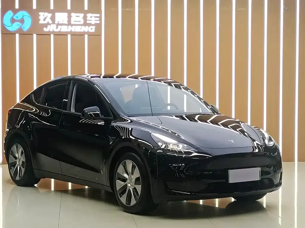 Tesla Model Y 2022 из CN, фото 9