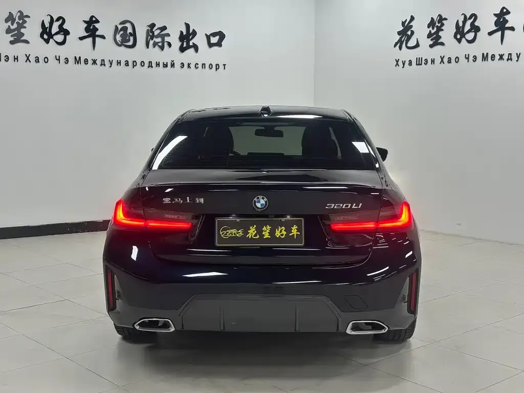 BMW 3 Series 2023 из CN, фото 6