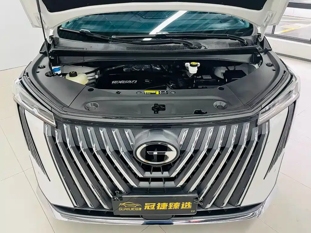 GAC Motor Trumpchi M8 2024 из CN, фото 9