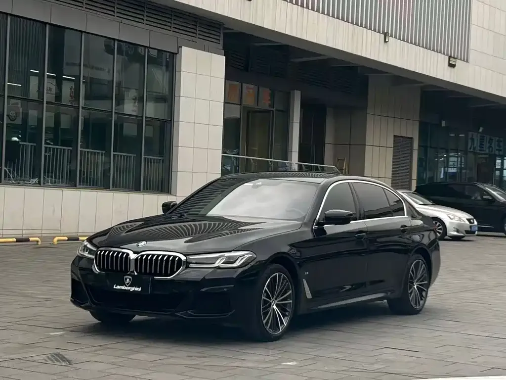 BMW 5 Series 2021 из CN, фото 1