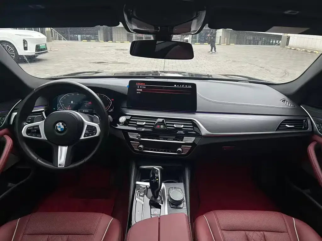 BMW 5 Series 2021 из CN, фото 9