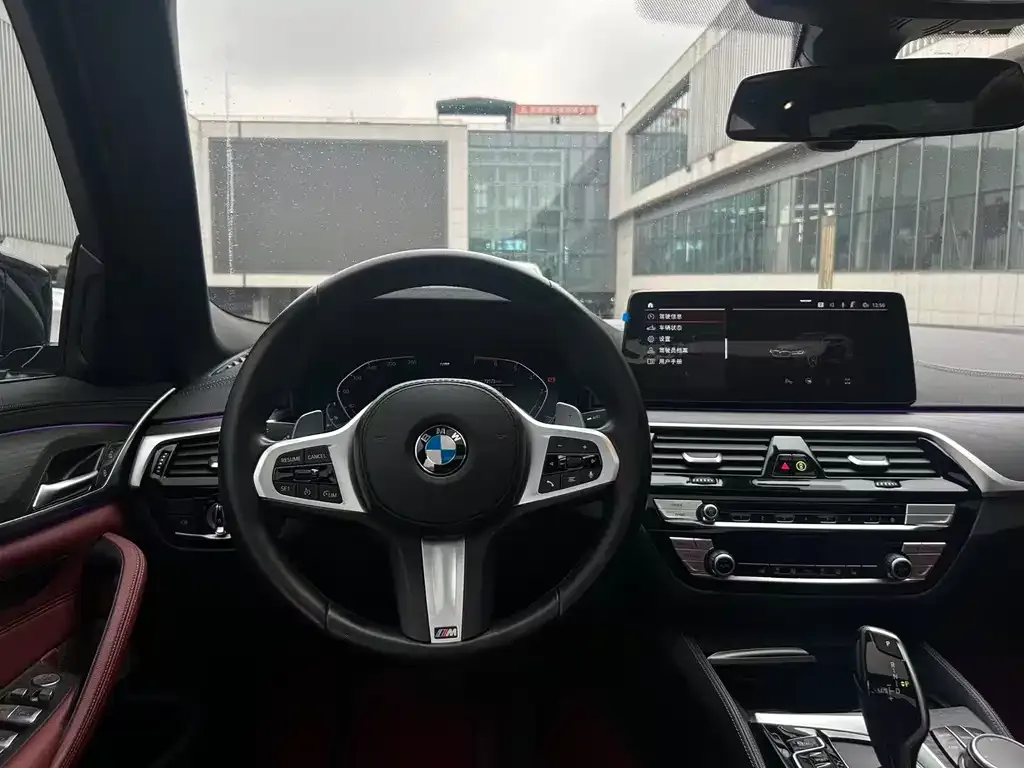 BMW 5 Series 2021 из CN, фото 4